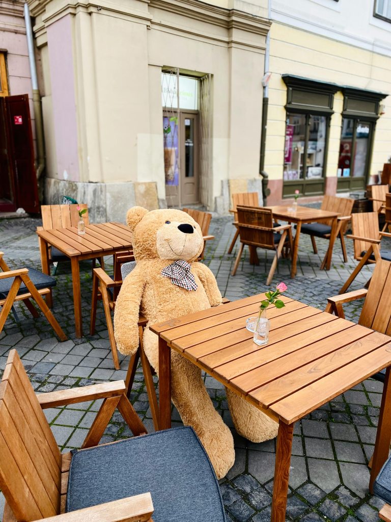 Unde mananci cu copii in Sibiu