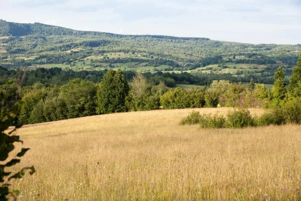 cazare cu cai pentru copii