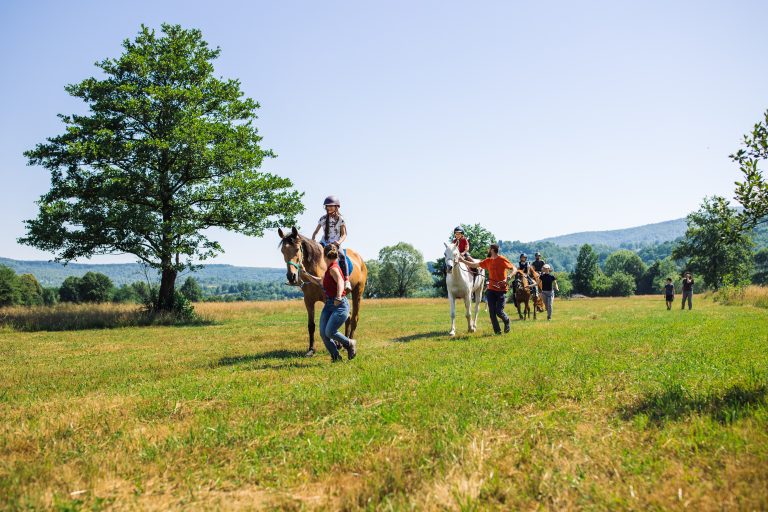cazare cu cai pentru copii