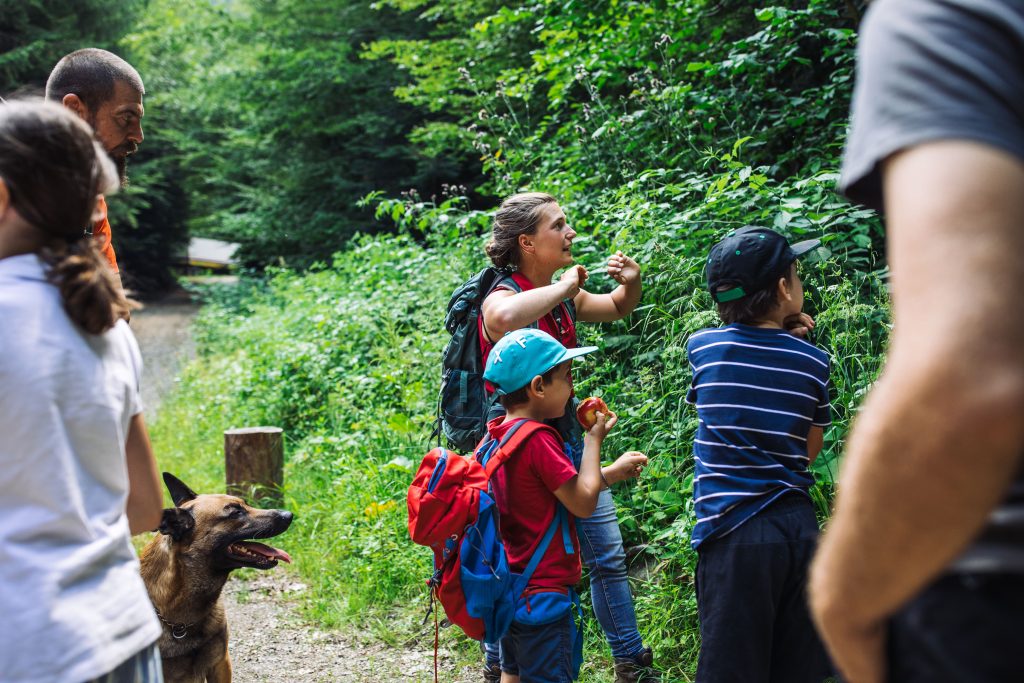 drumetii cu copii in padure