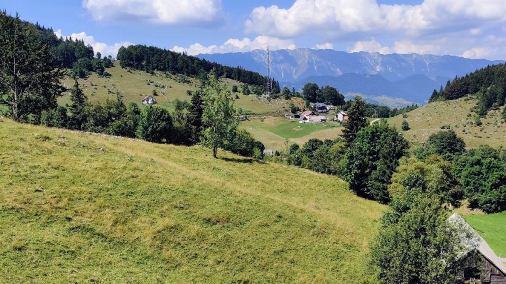 funadata brasov