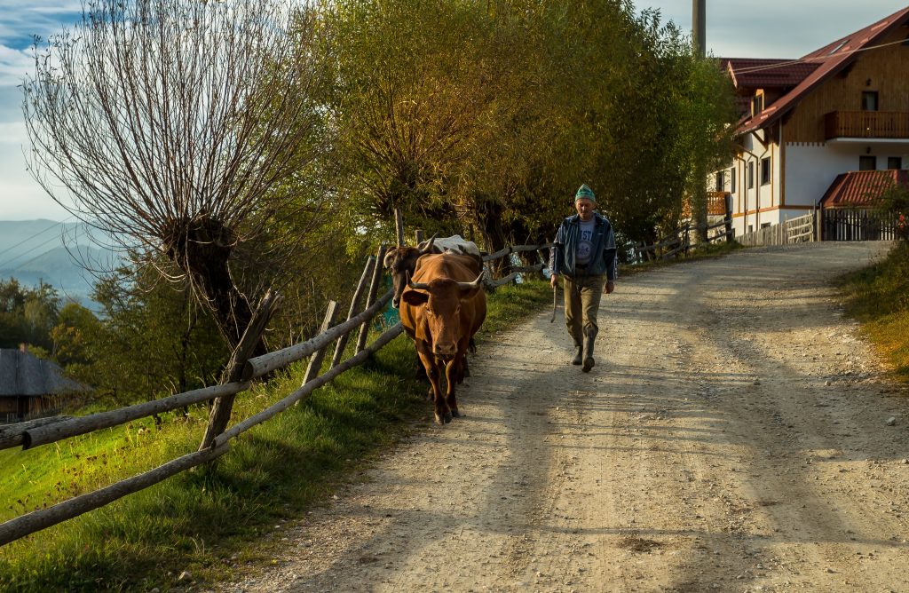 magura brasov