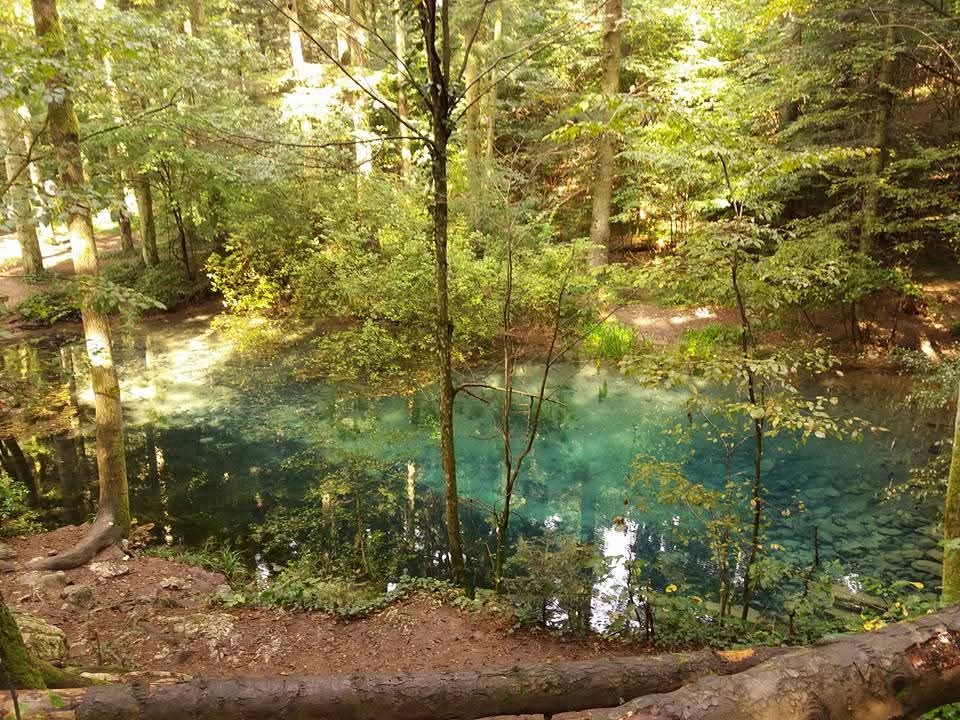 ochiul beiului