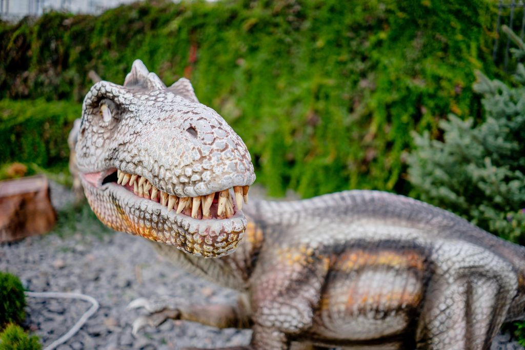 dino park brasov