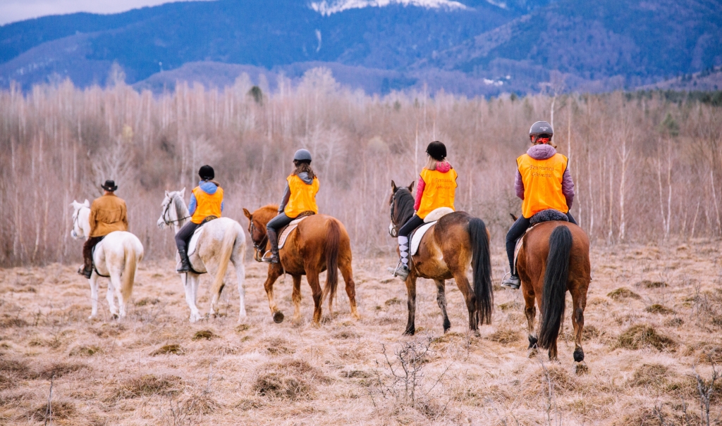 pensiune cu cai sibiu